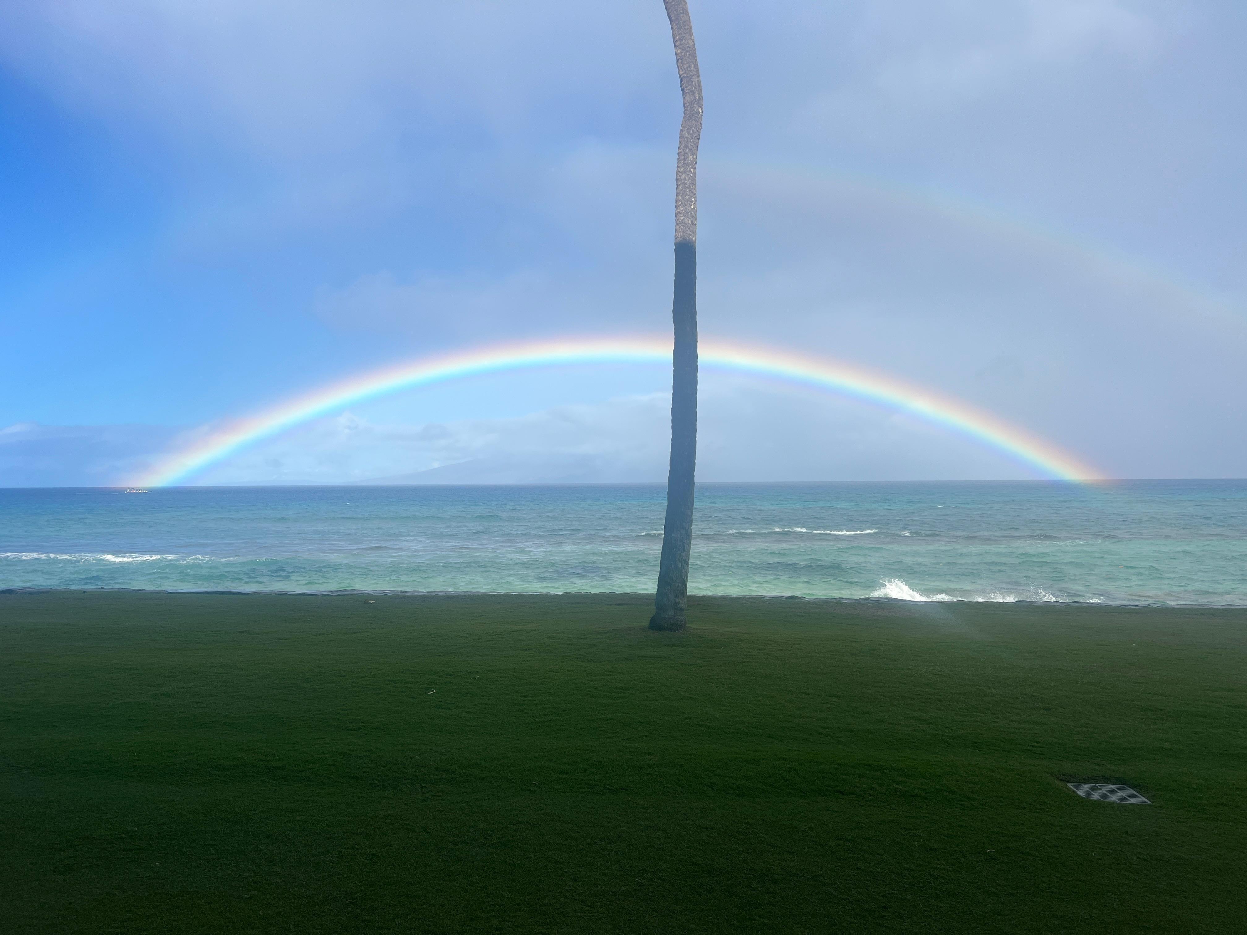 Nice to wake up to this out the back door!