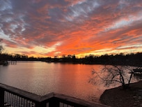 View from the deck!