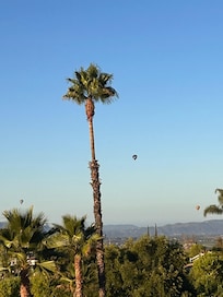 Hot air balloons in the AM