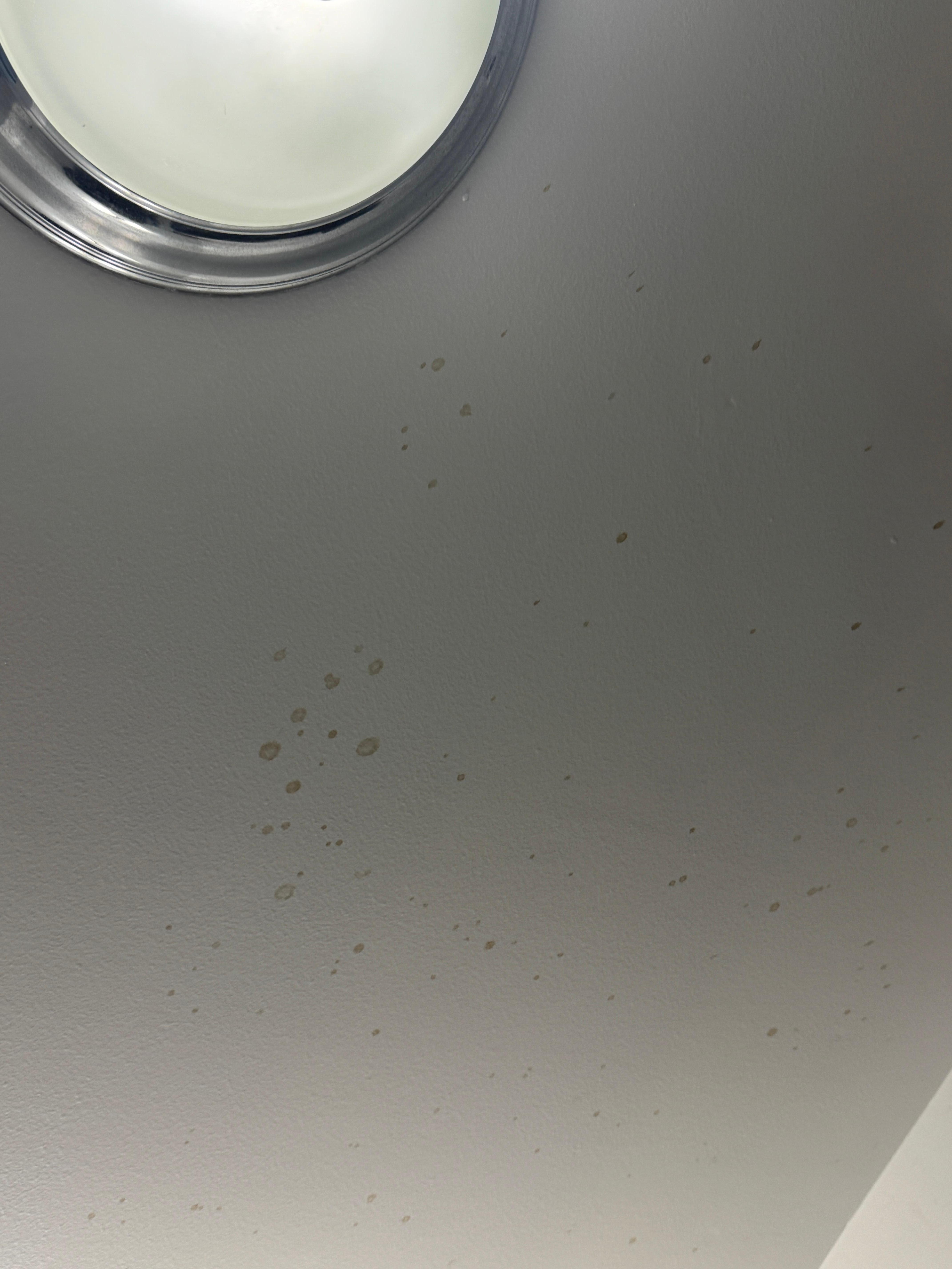 Unidentified fluid splattered #3