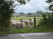 The surrounding area is agricultural.