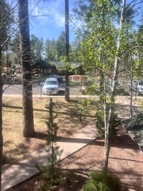 View from BR front of Unit parking lot area