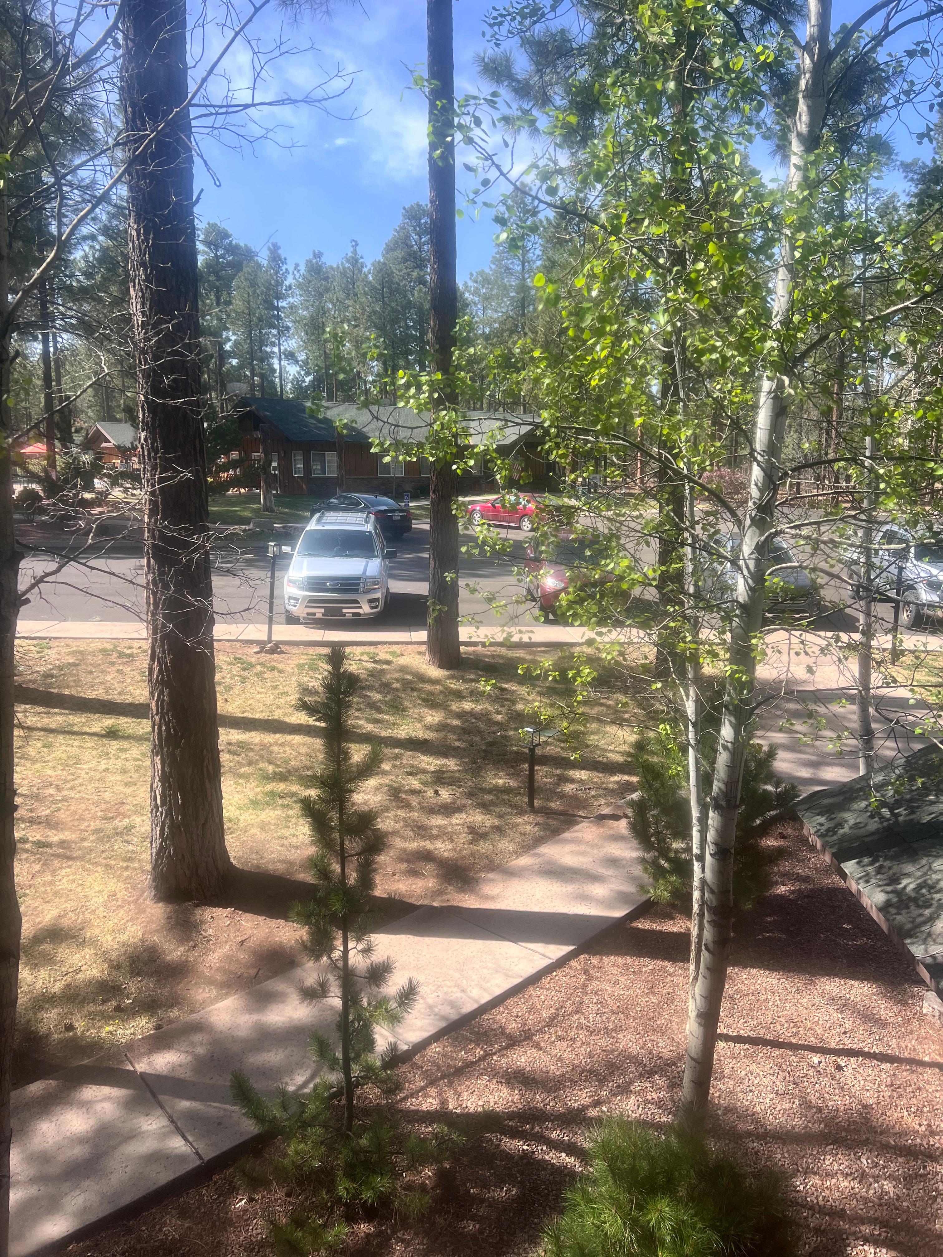 View from BR front of Unit parking lot area 