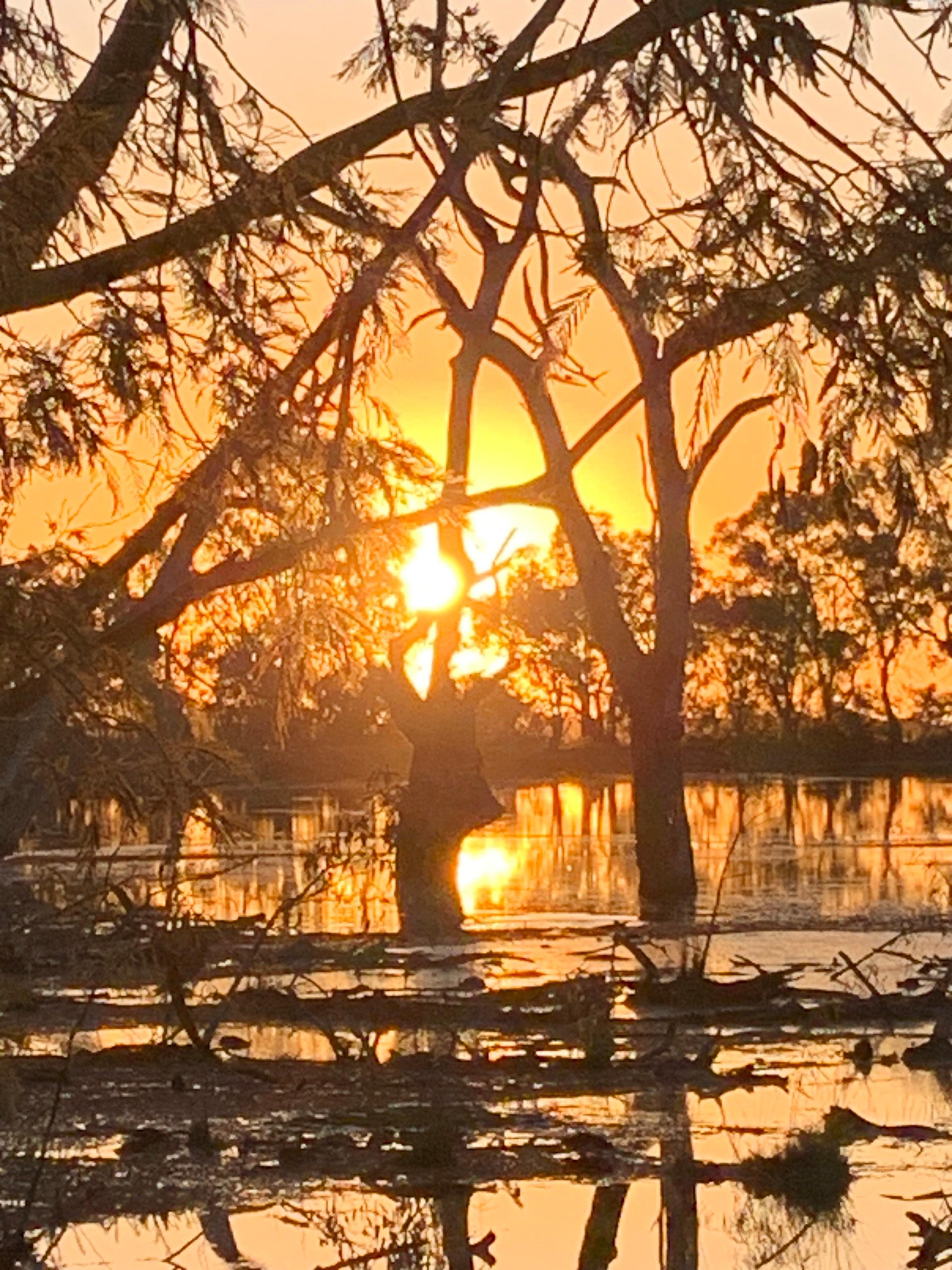 Sunset  from out the front