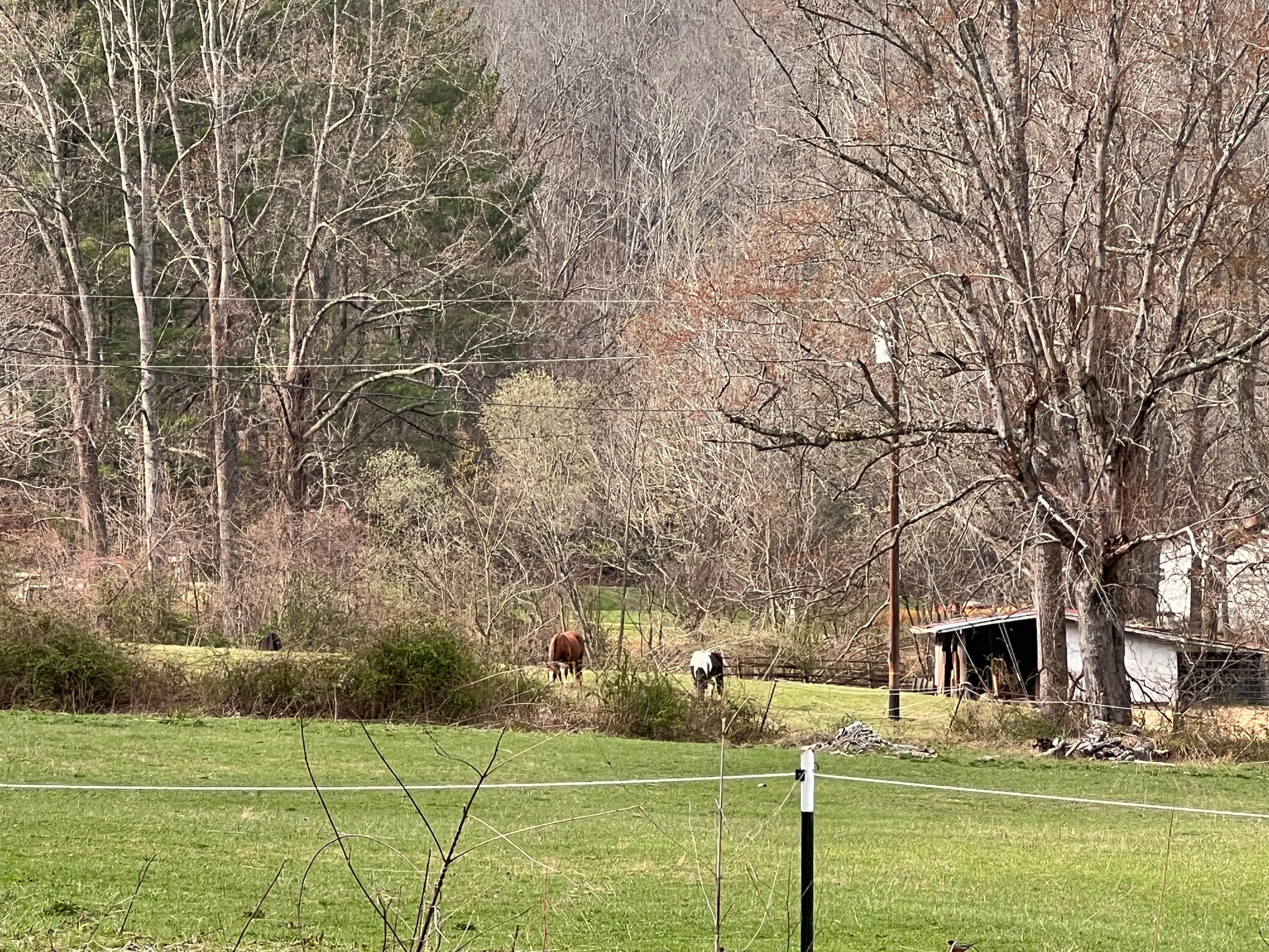 View to the neighbors