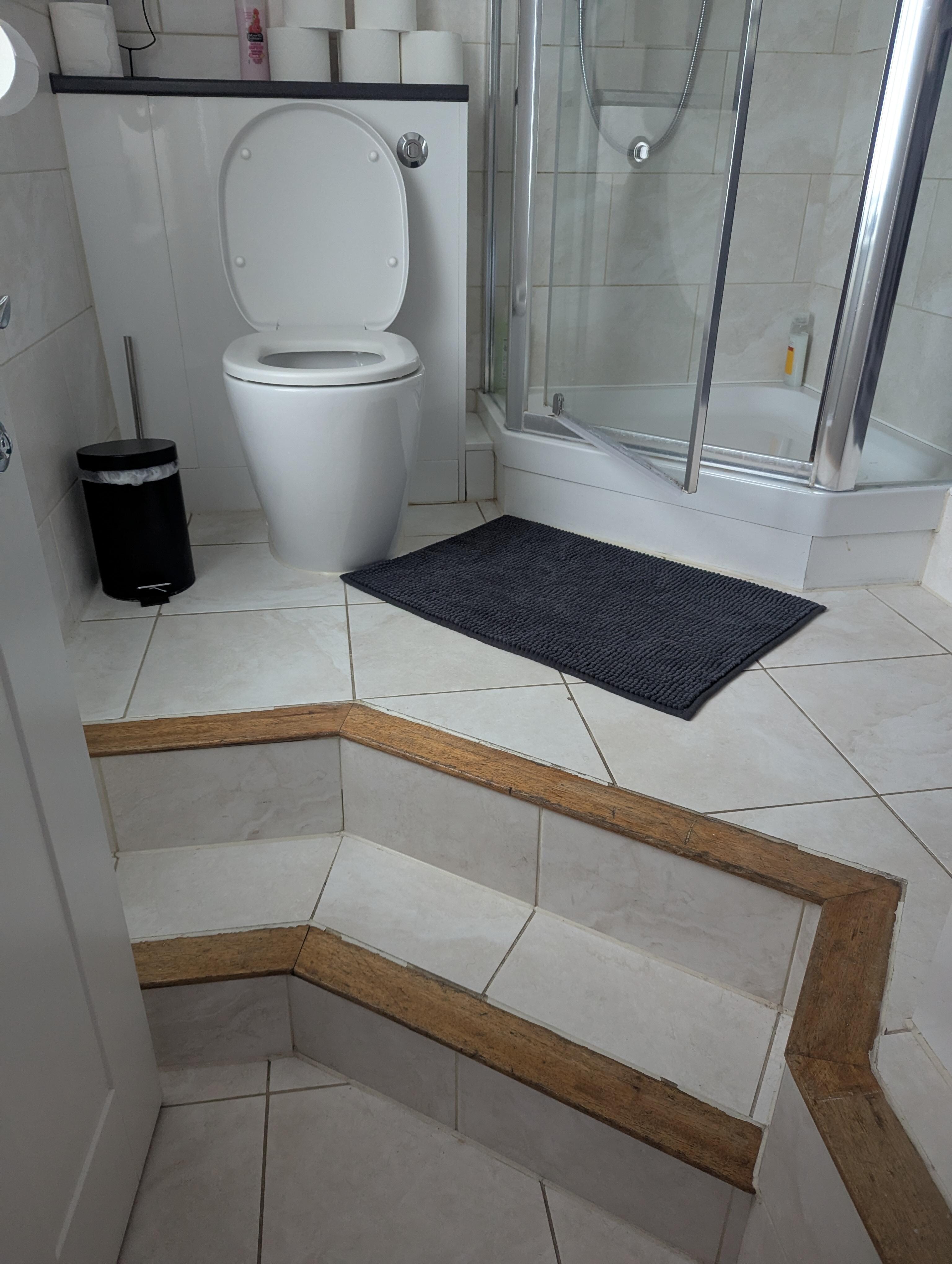 Both bathrooms have two steps from the main floor to the bathroom.  In addition, there were two steps up from the living rm to the foyer, and then two down to the rest of the unit.