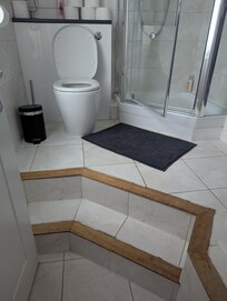 Both bathrooms have two steps from the main floor to the bathroom. In addition, there were two steps up from the living rm to the foyer, and then two down to the rest of the unit.
