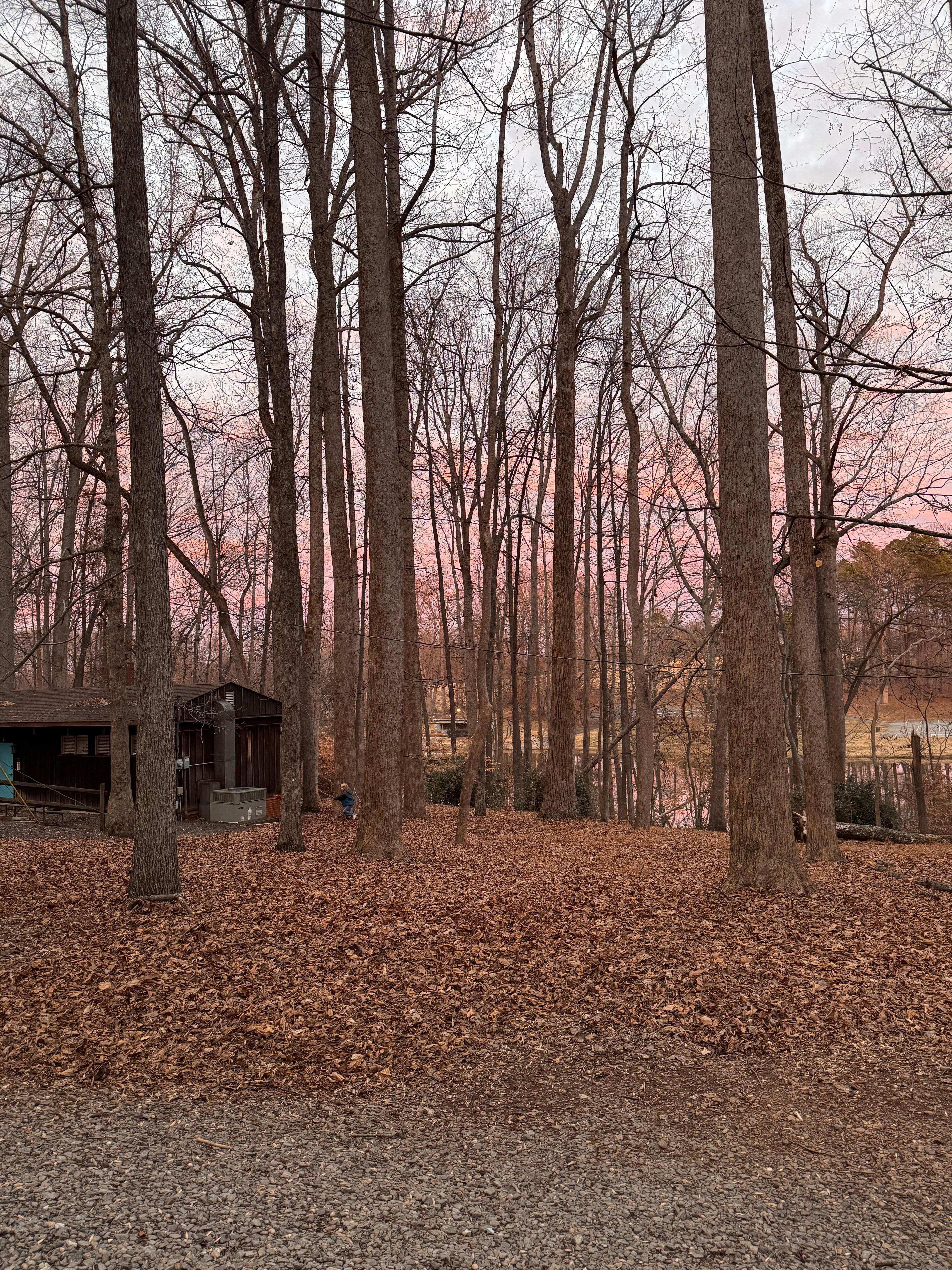 Outside with the cabin on the left. Beautiful scenery overlooking a pond.
