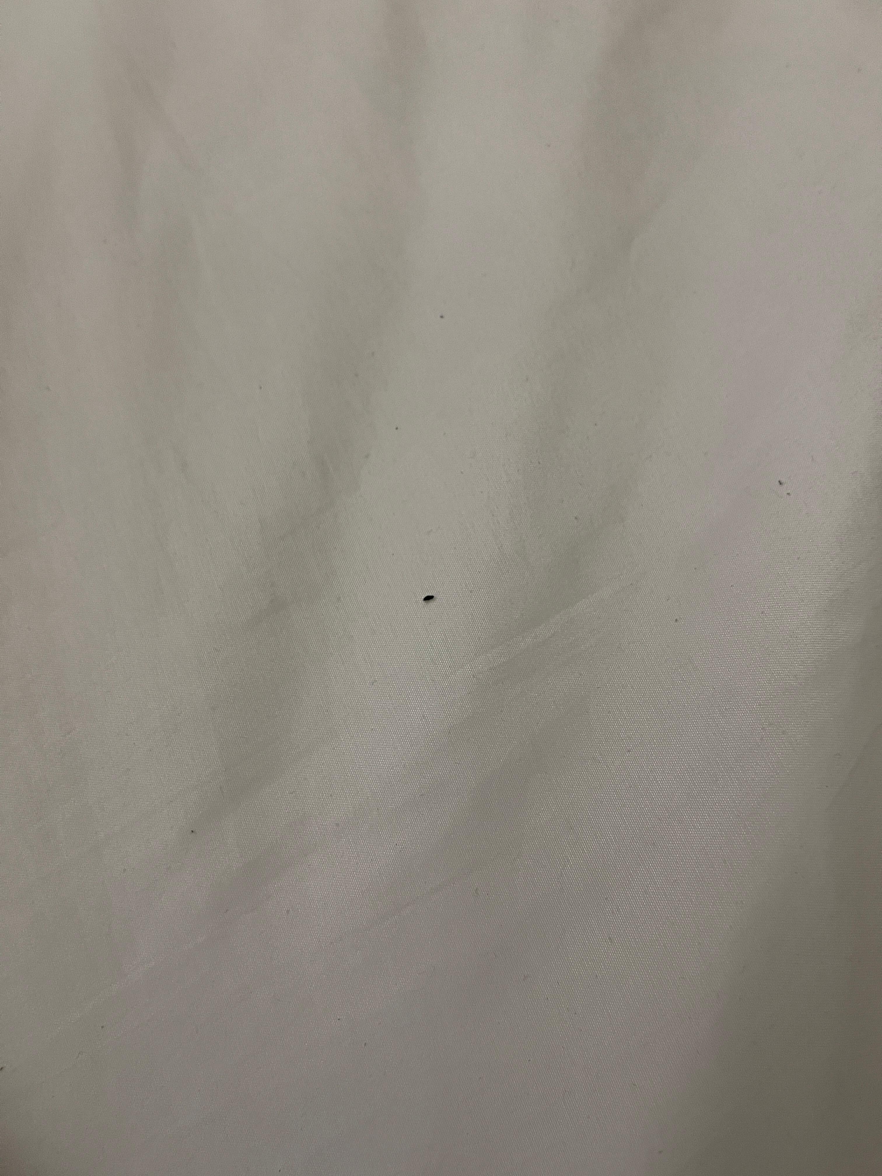 Hair or dirt on sheets