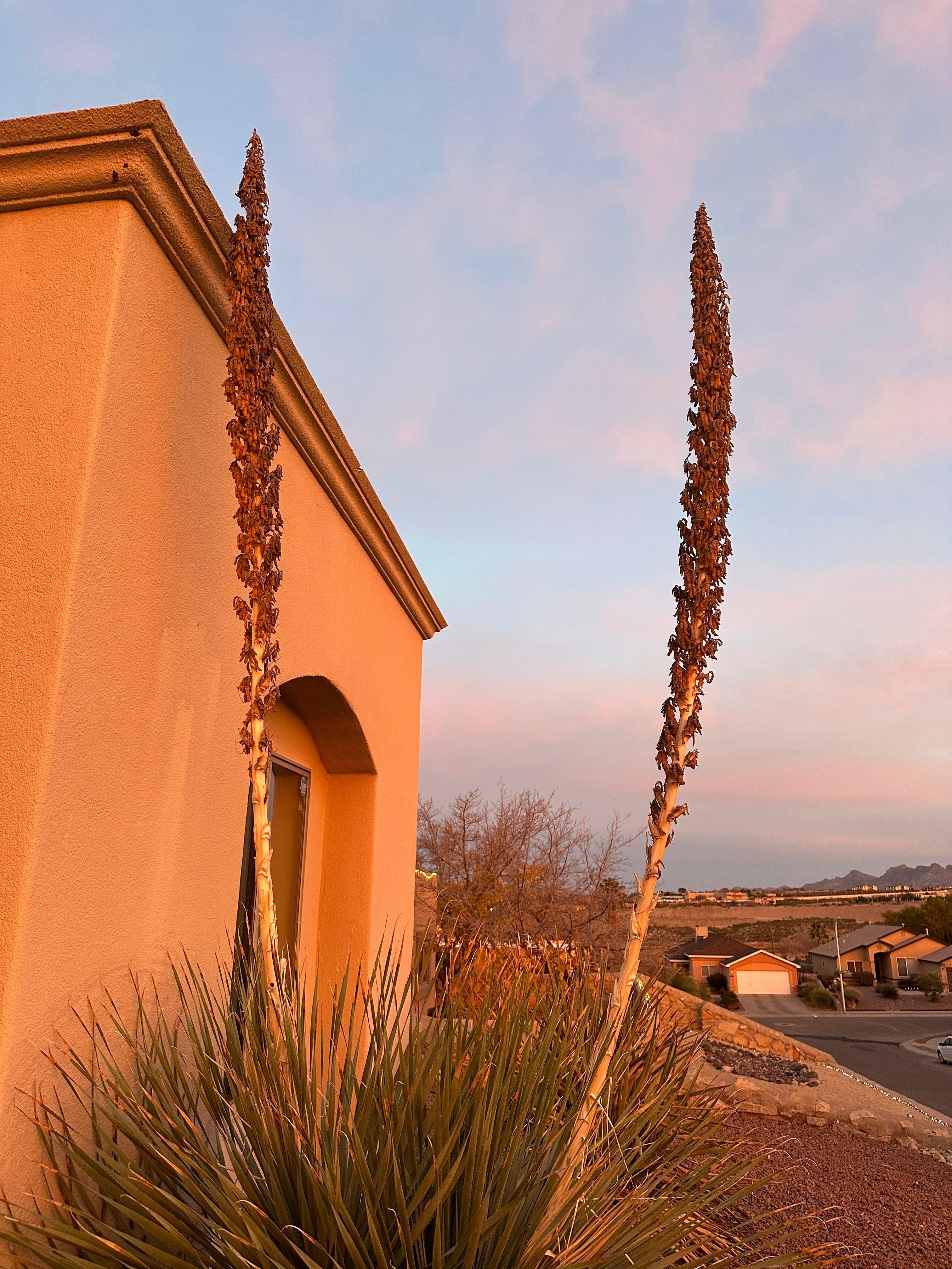 view northeast from front yard