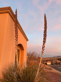 view northeast from front yard