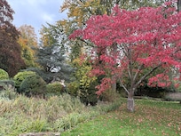 Gardens