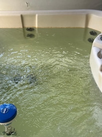 Water was green, with a line of scum/bacteria
