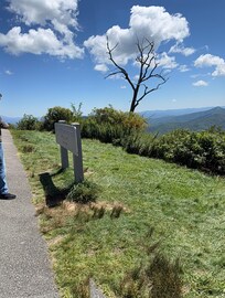 Blue Ridge Parkway is nearby
