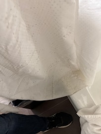 Mouldy shower curtain