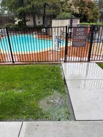 The puddle