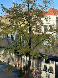 View from our eindow