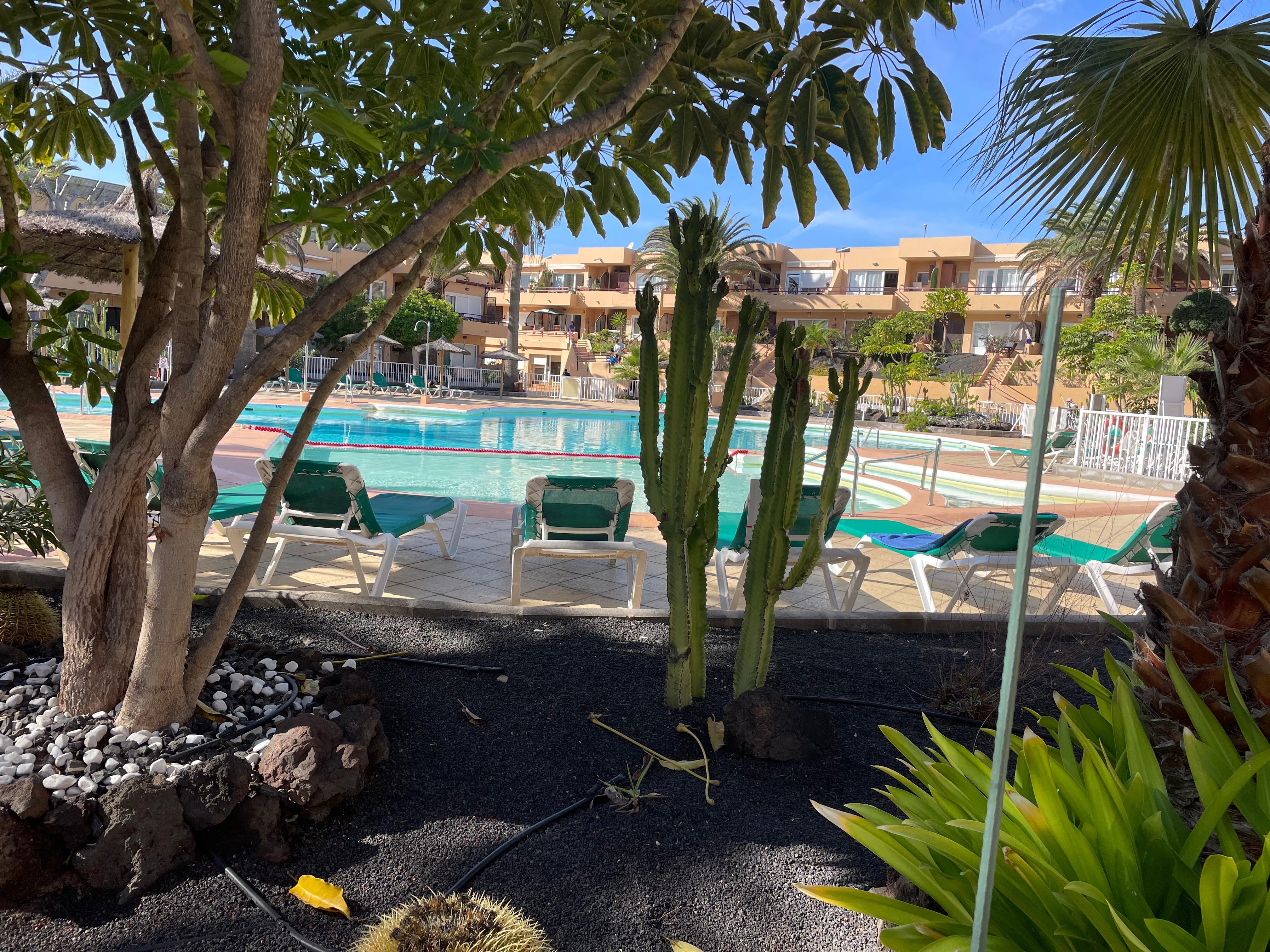 View from the patio overlooking the pool area 