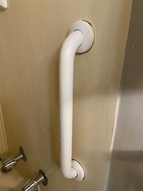 Mold around grab bars