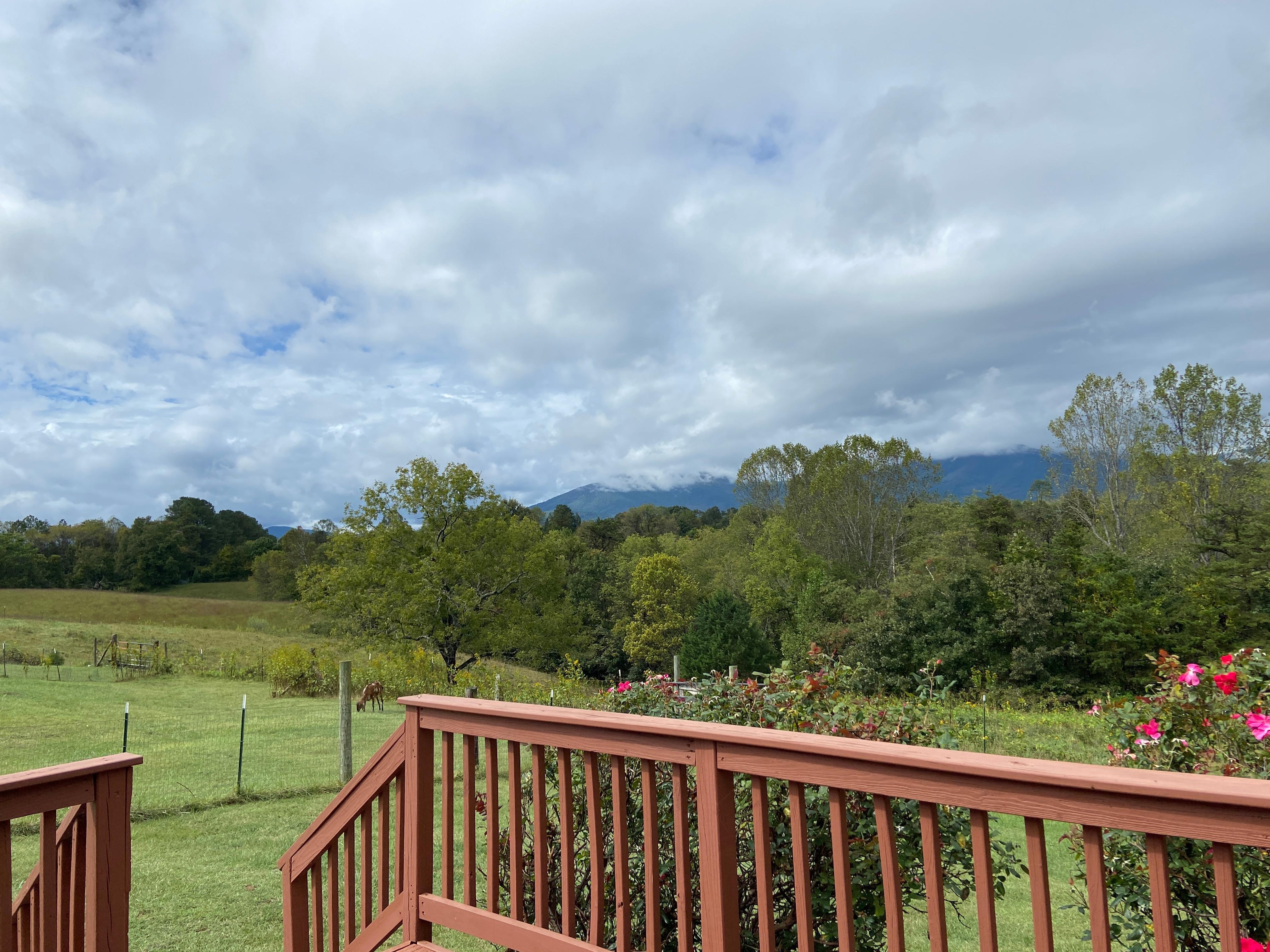 View of The Peaks of Otter from the back porch. 