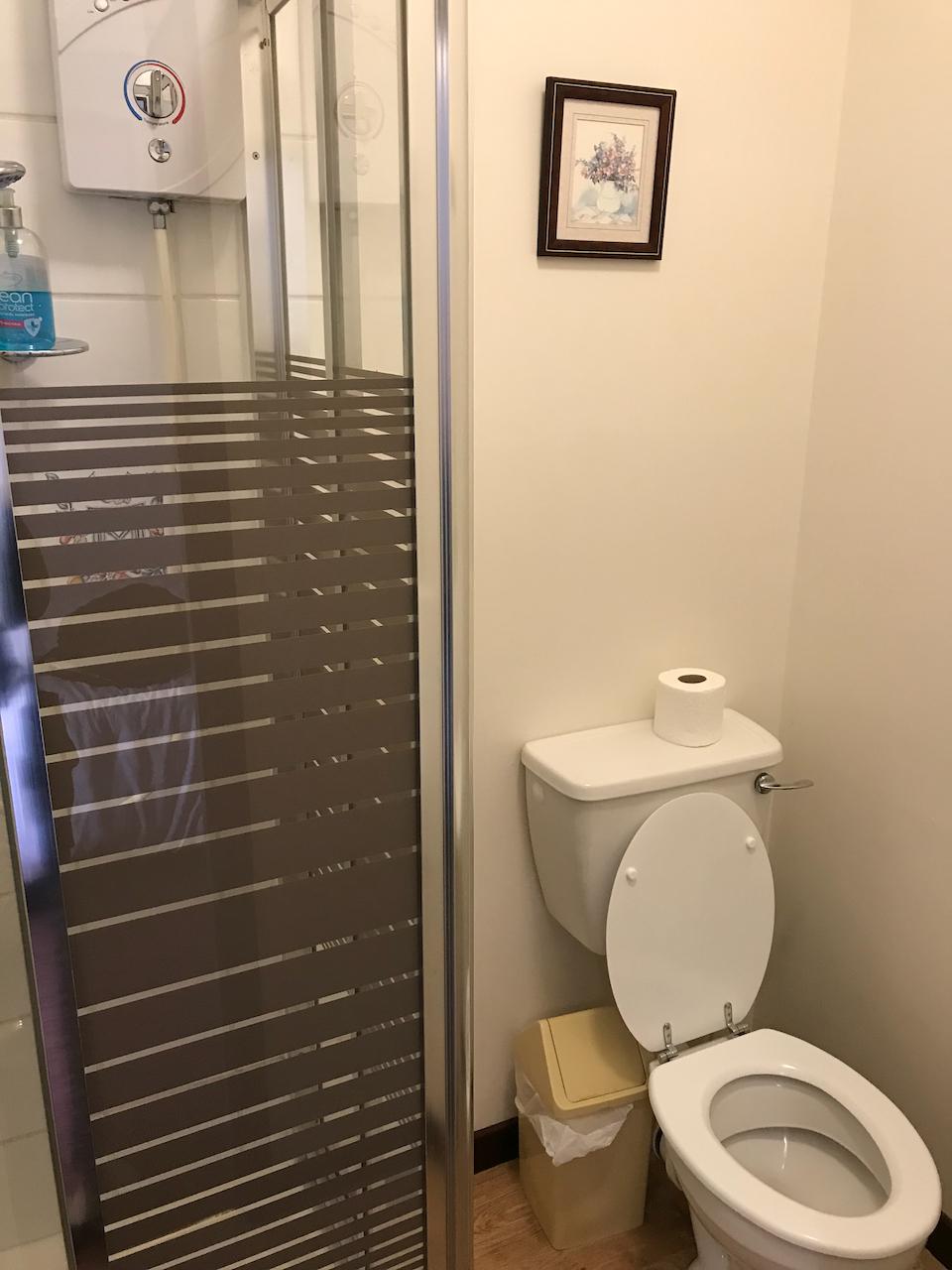 Shower and toilet in en suite bathroom.