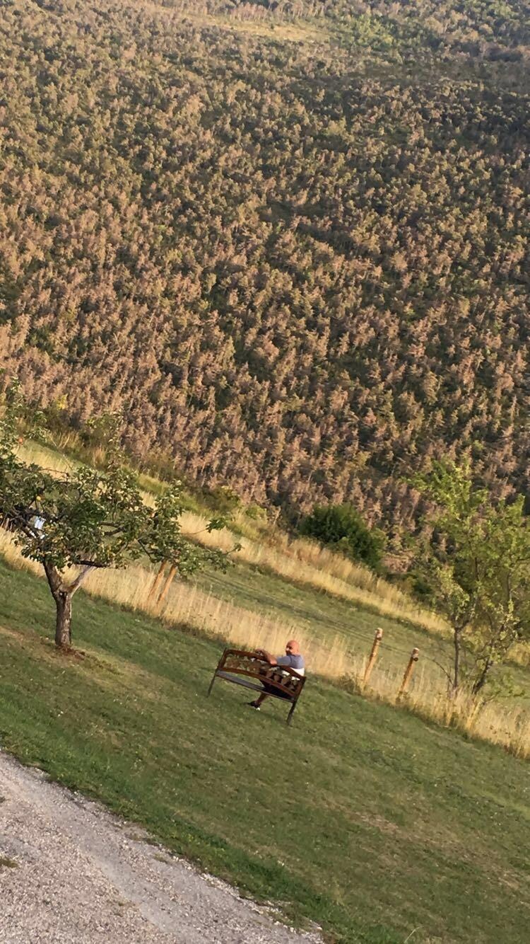 Bara sitta o njut av lugnet 