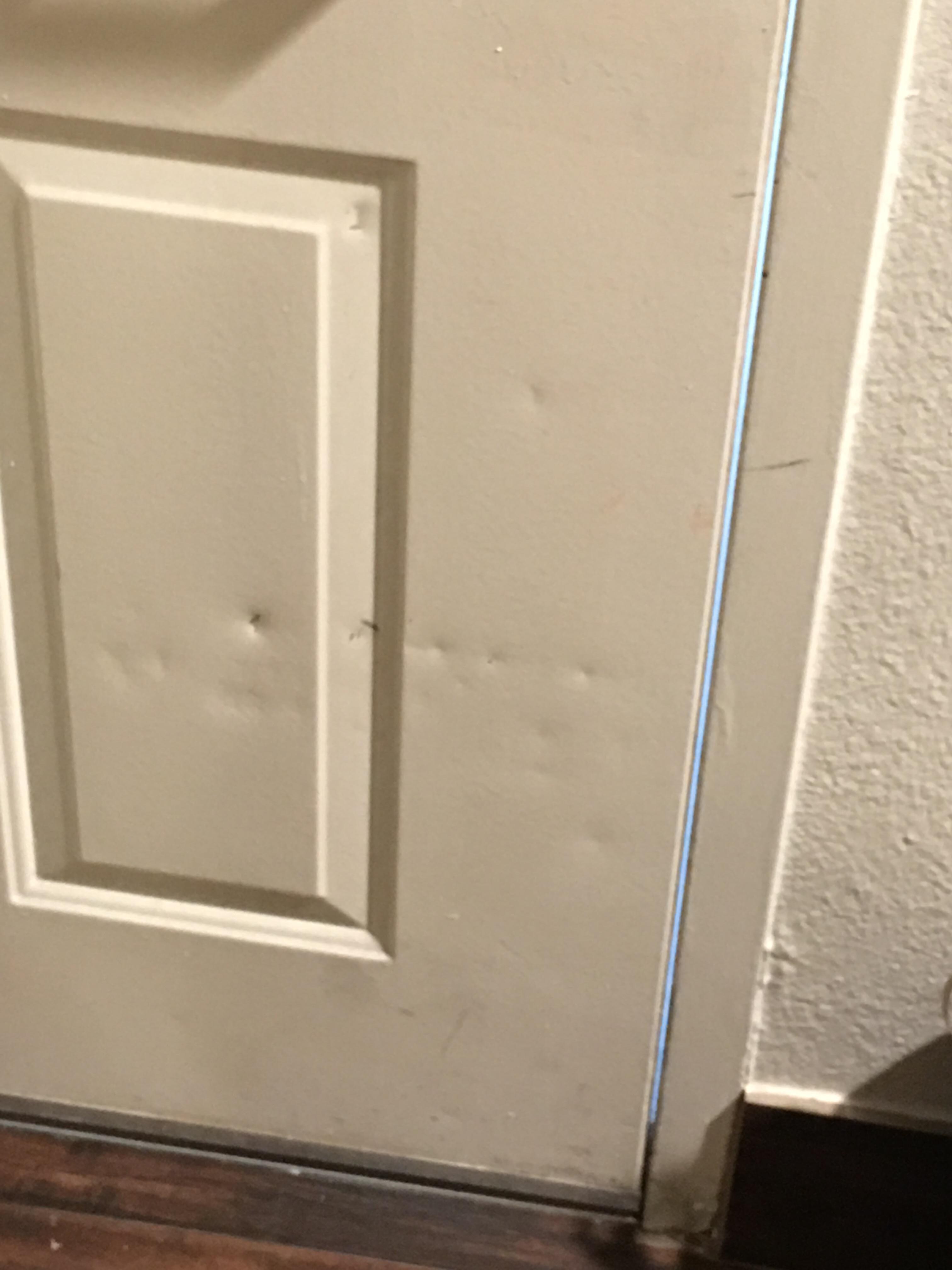 Dent in door