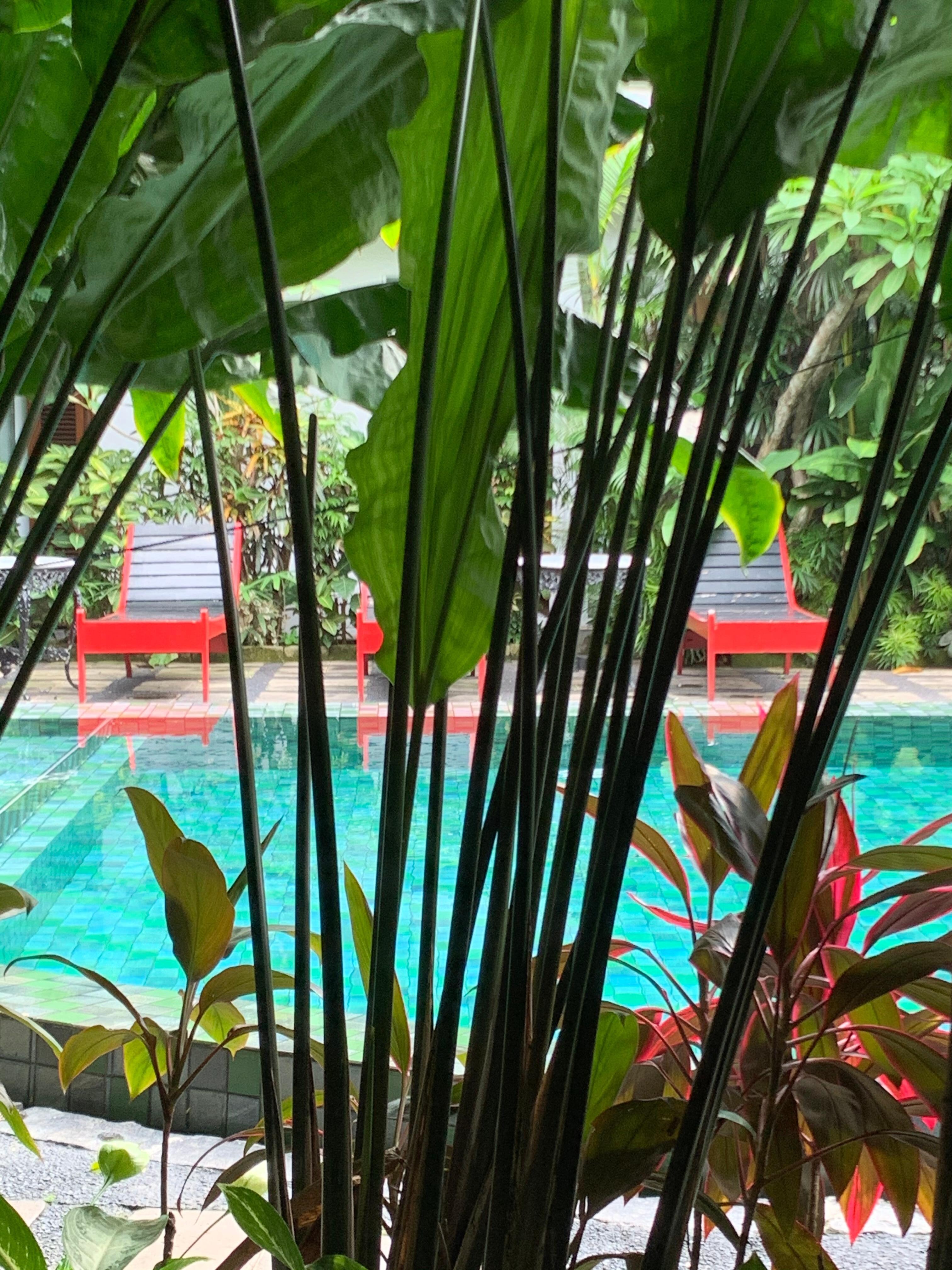 Pool side