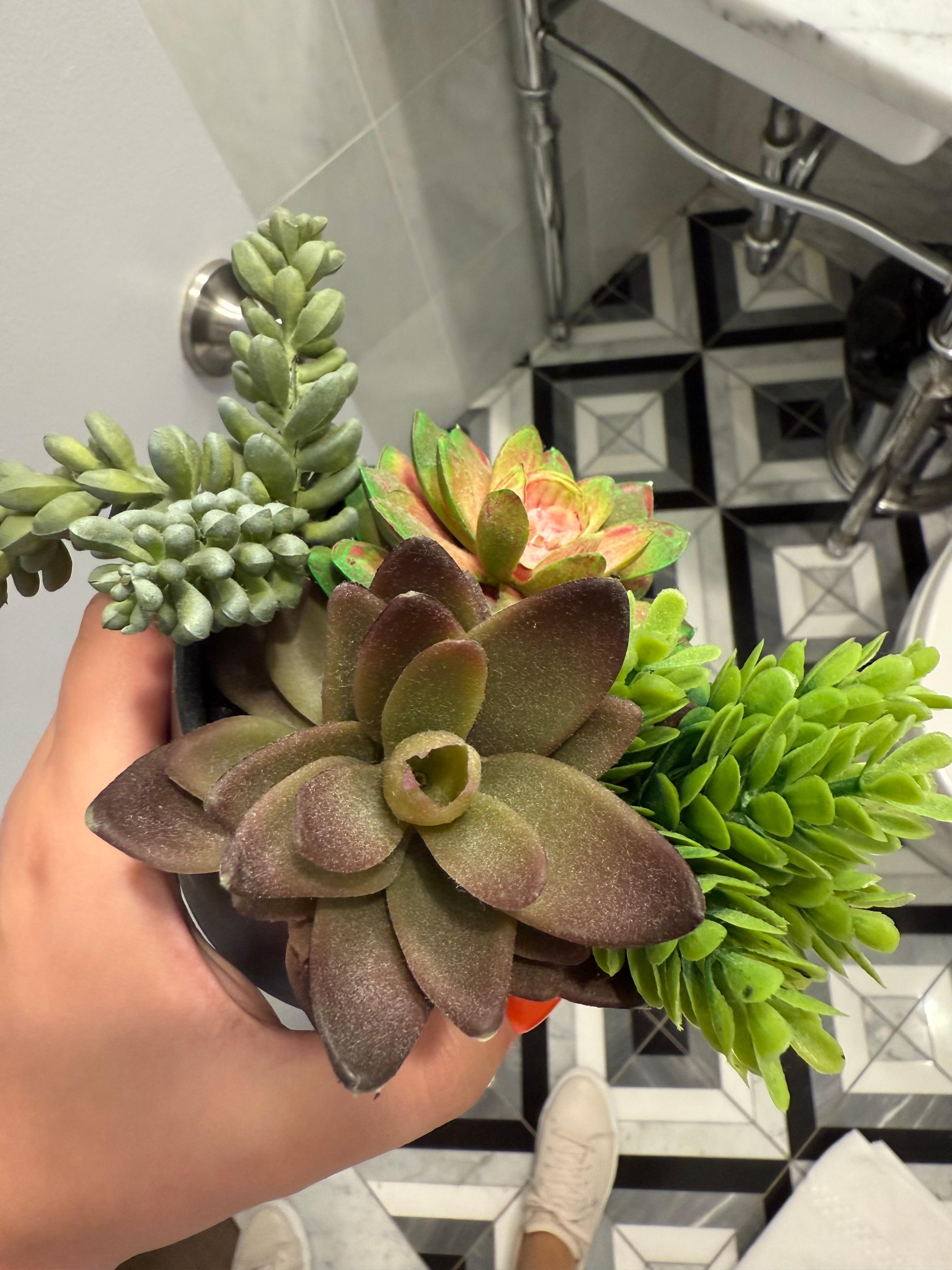 Dust on the decorative flower in the second room 