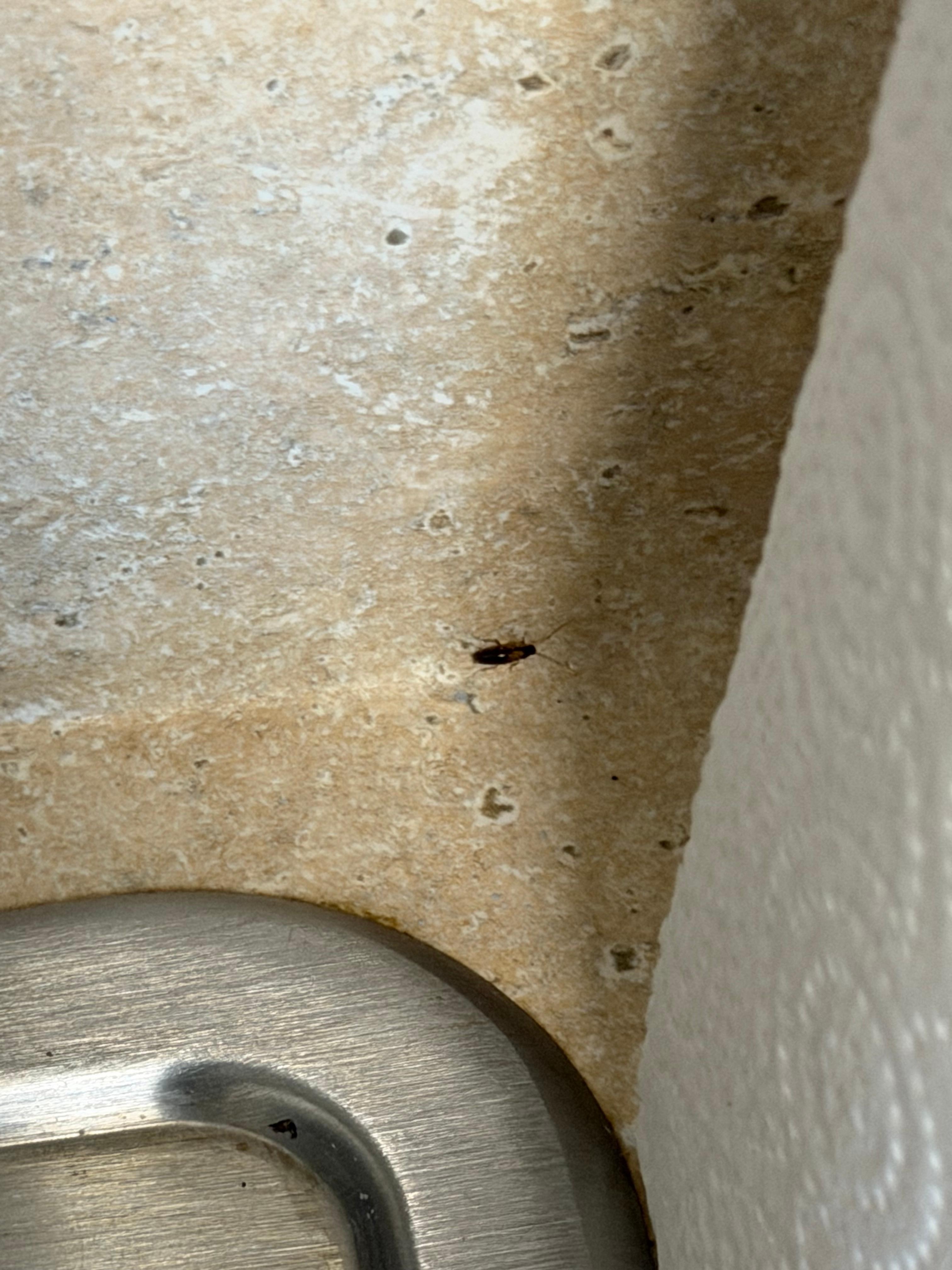 It won’t let me post a video of them crawling everywhere 