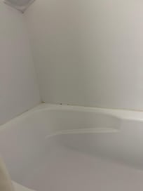 Mold in bathtub