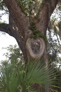 One of the Tree Spirits at Gascoigne Bluff