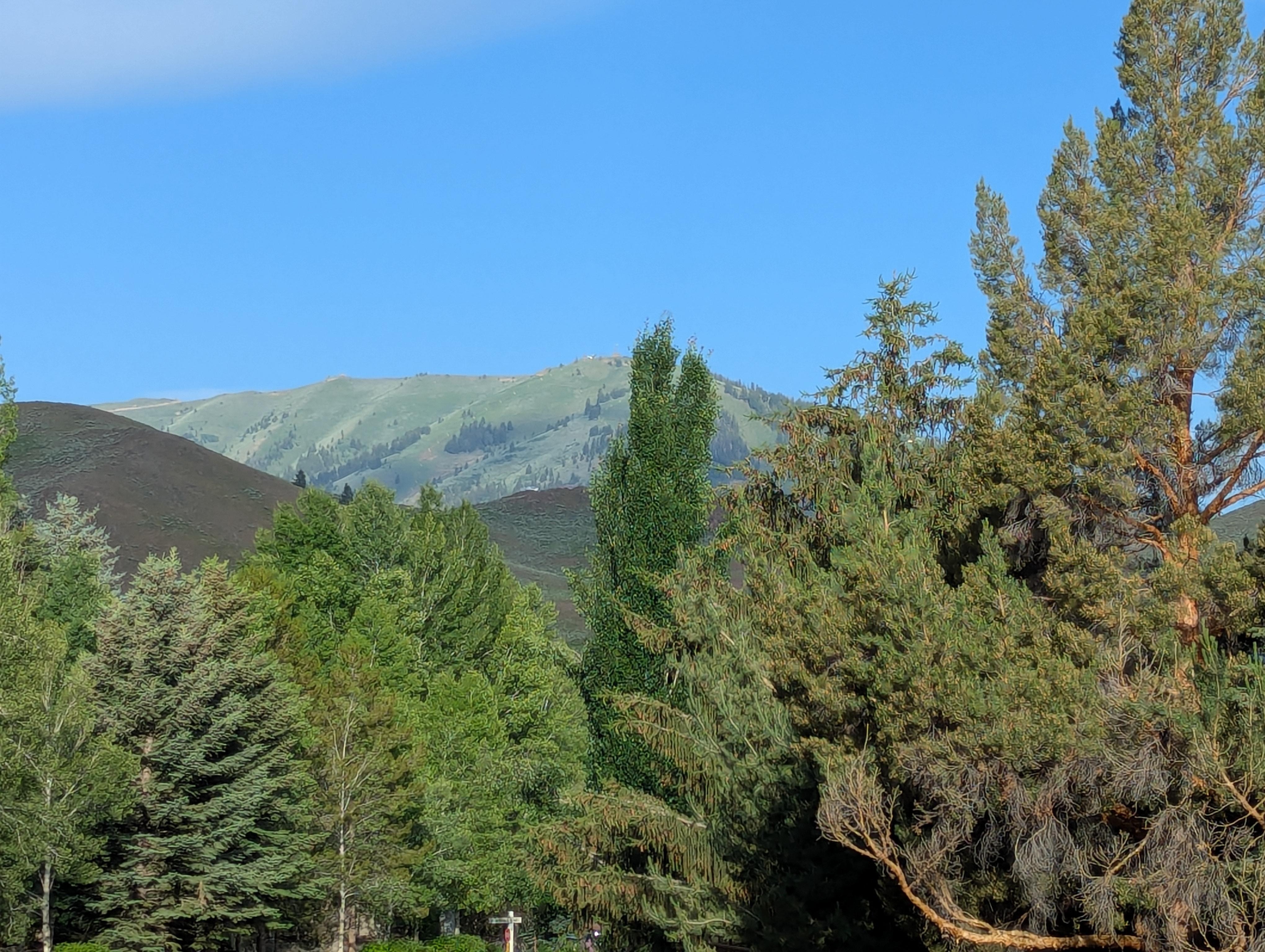 Morning coffee view!