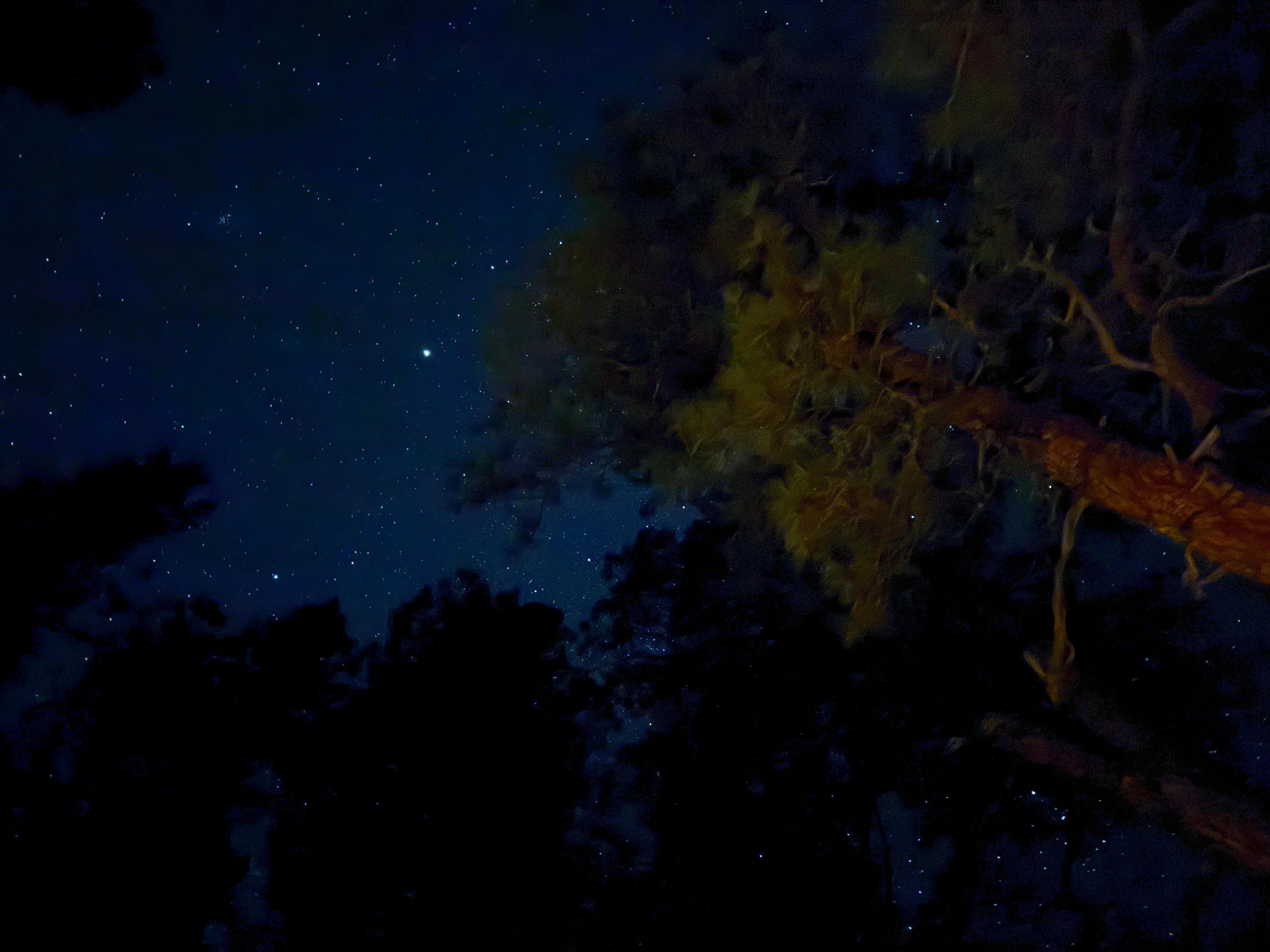 Starry skies from the deck