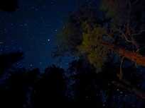 Starry skies from the deck
