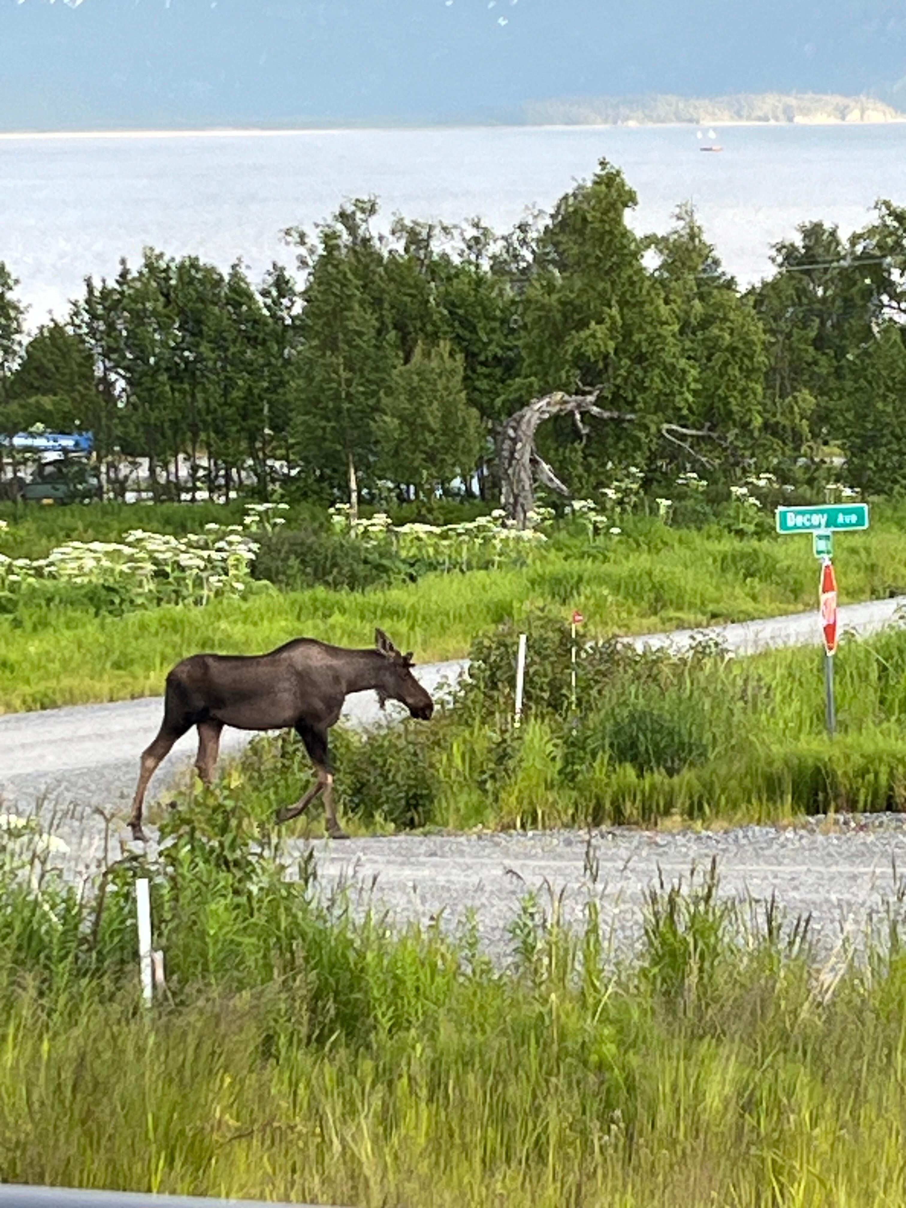 Right in front of the VRBO