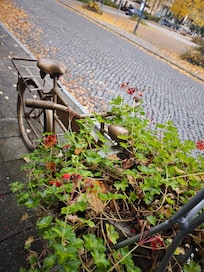 酒店门口装饰好的自行车,车前也是酒店的牌子。