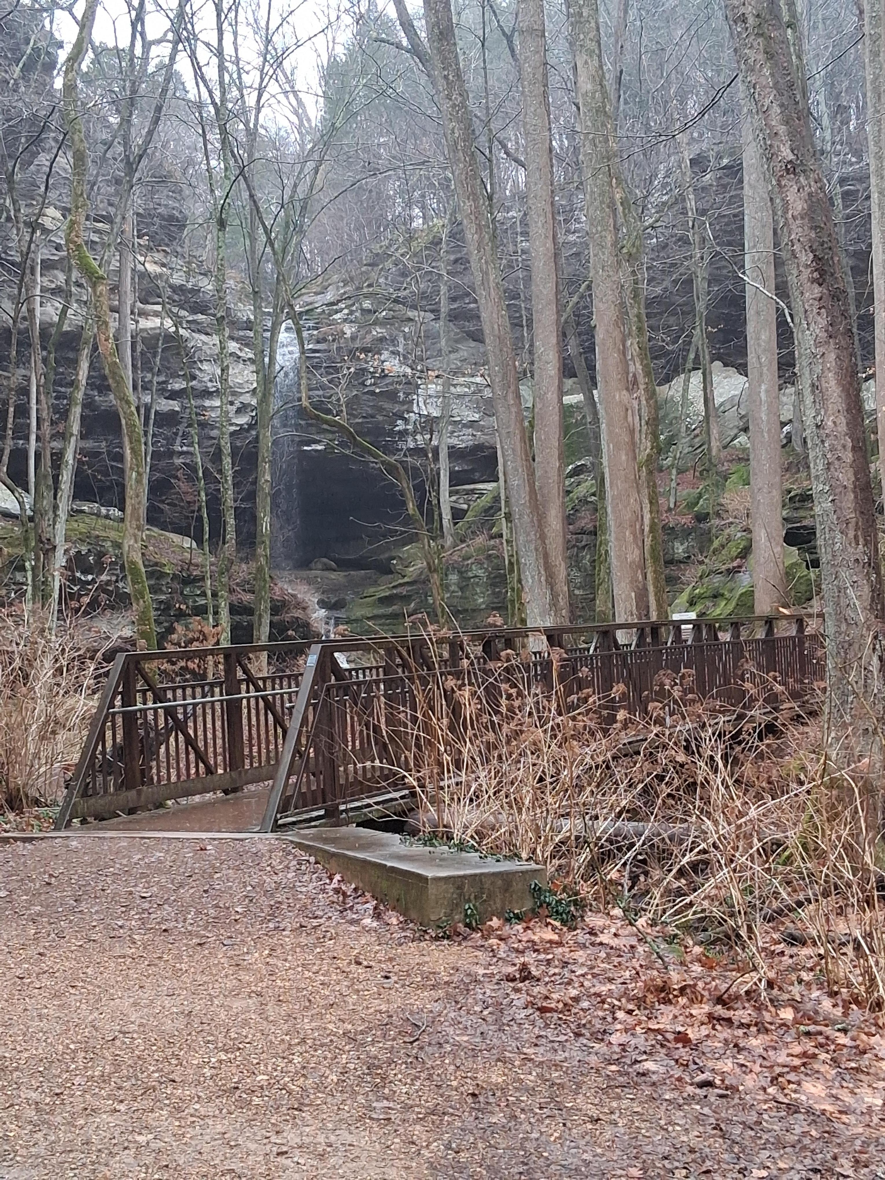 Fern Clyffe State Park