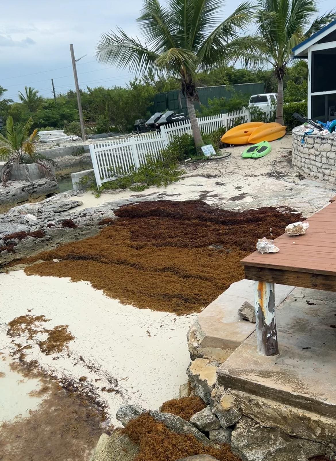 Daily rain storms brought in a lot of seaweed. Ick! No real way to remove it, no tools on property. 