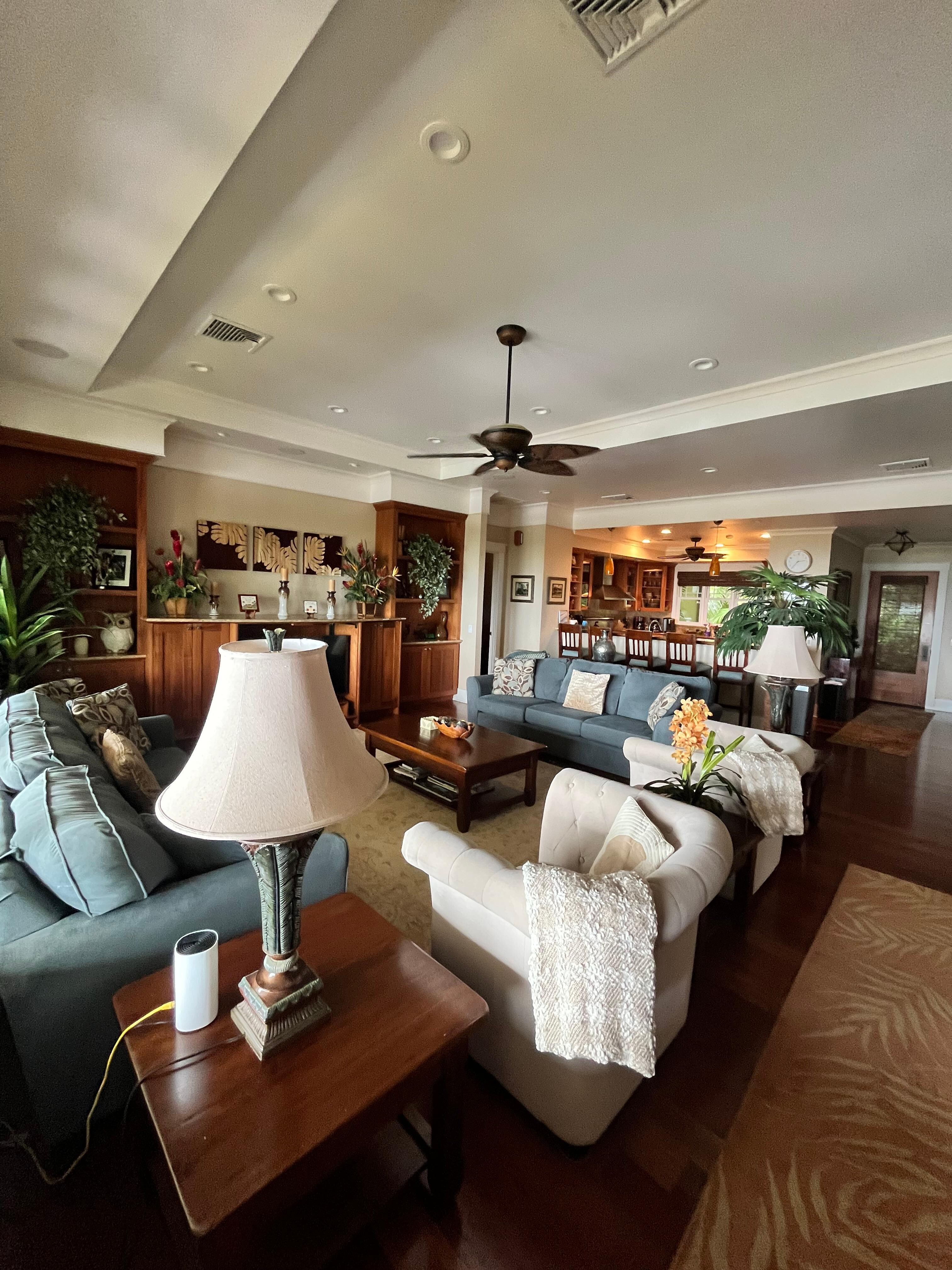 Open floor plan living room/dining room/kitchen.