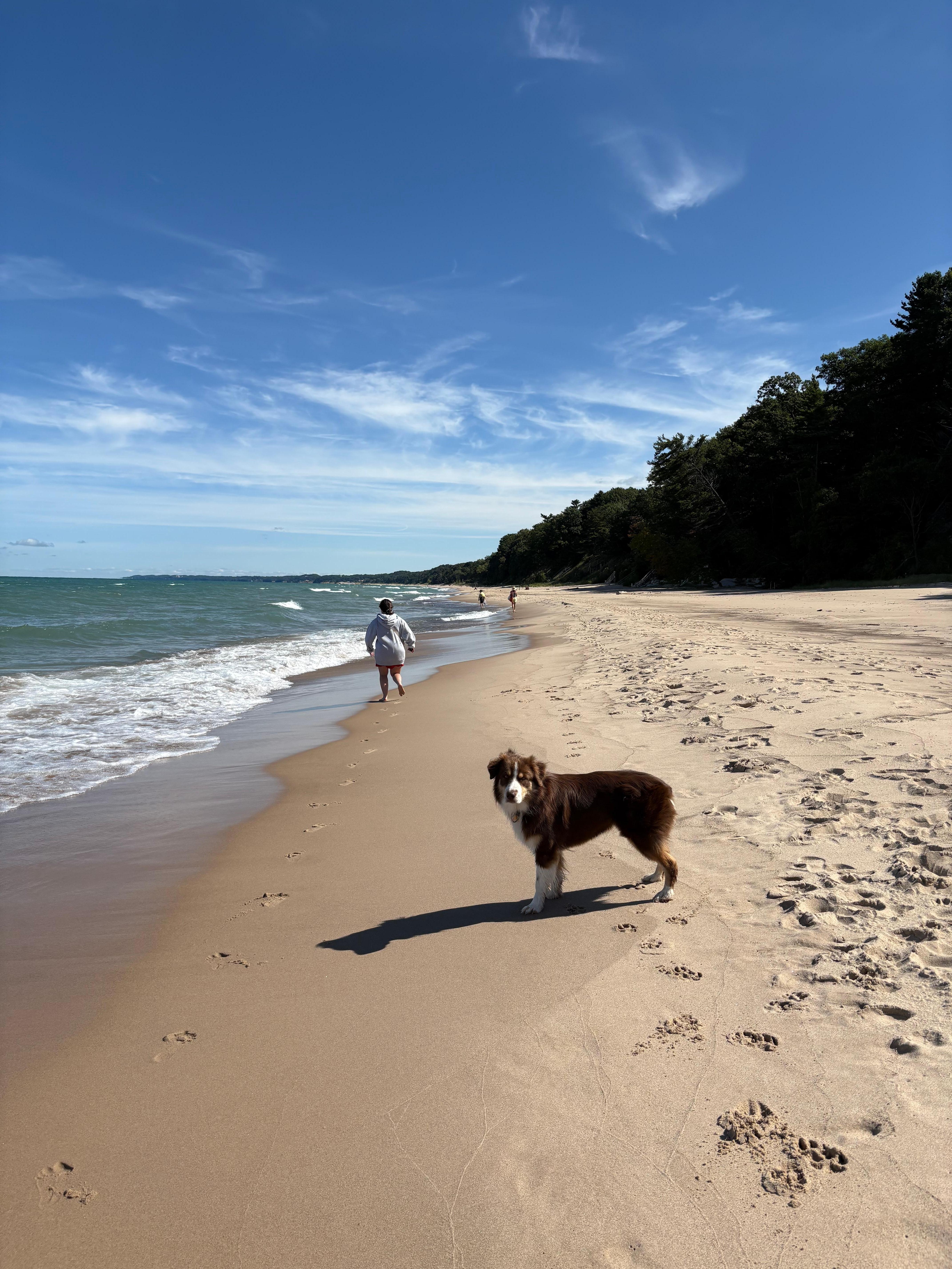 Gorgeous beach down the street 