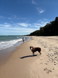 Gorgeous beach down the street