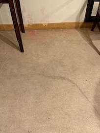 pink mold and dirty carpet