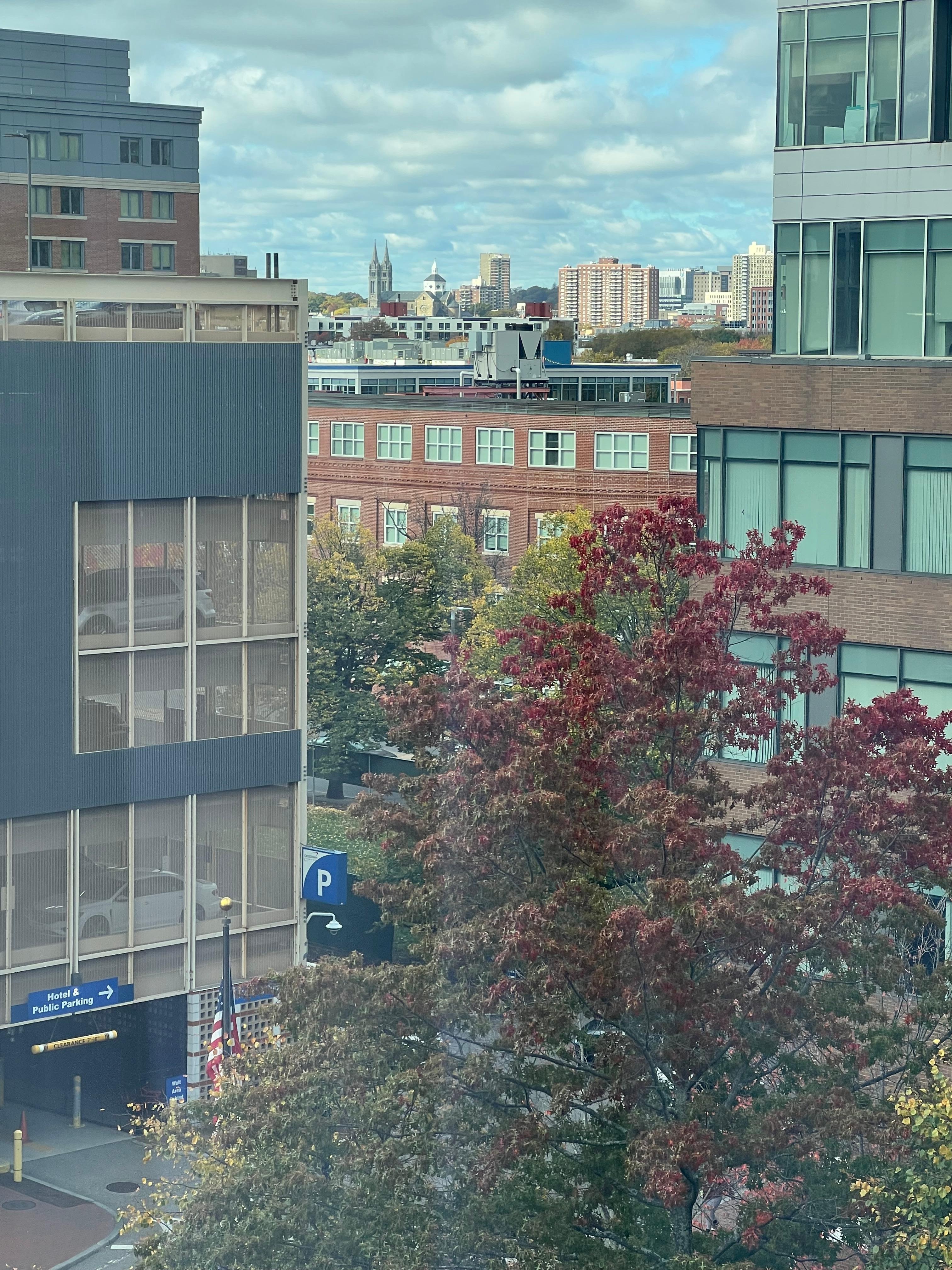 View from my 6th floor room. 