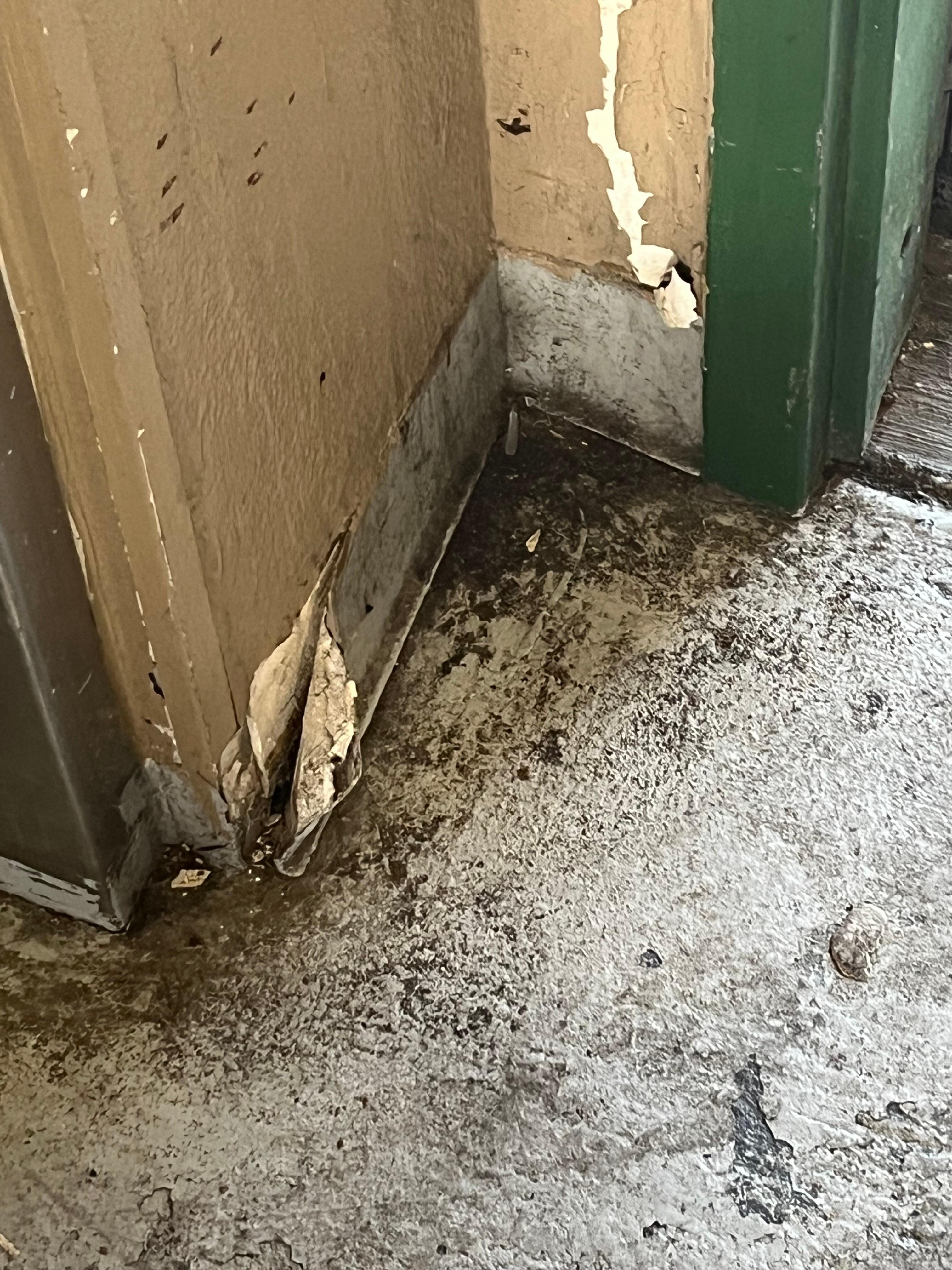 Long term build up at elevator door. I think it’s mold 