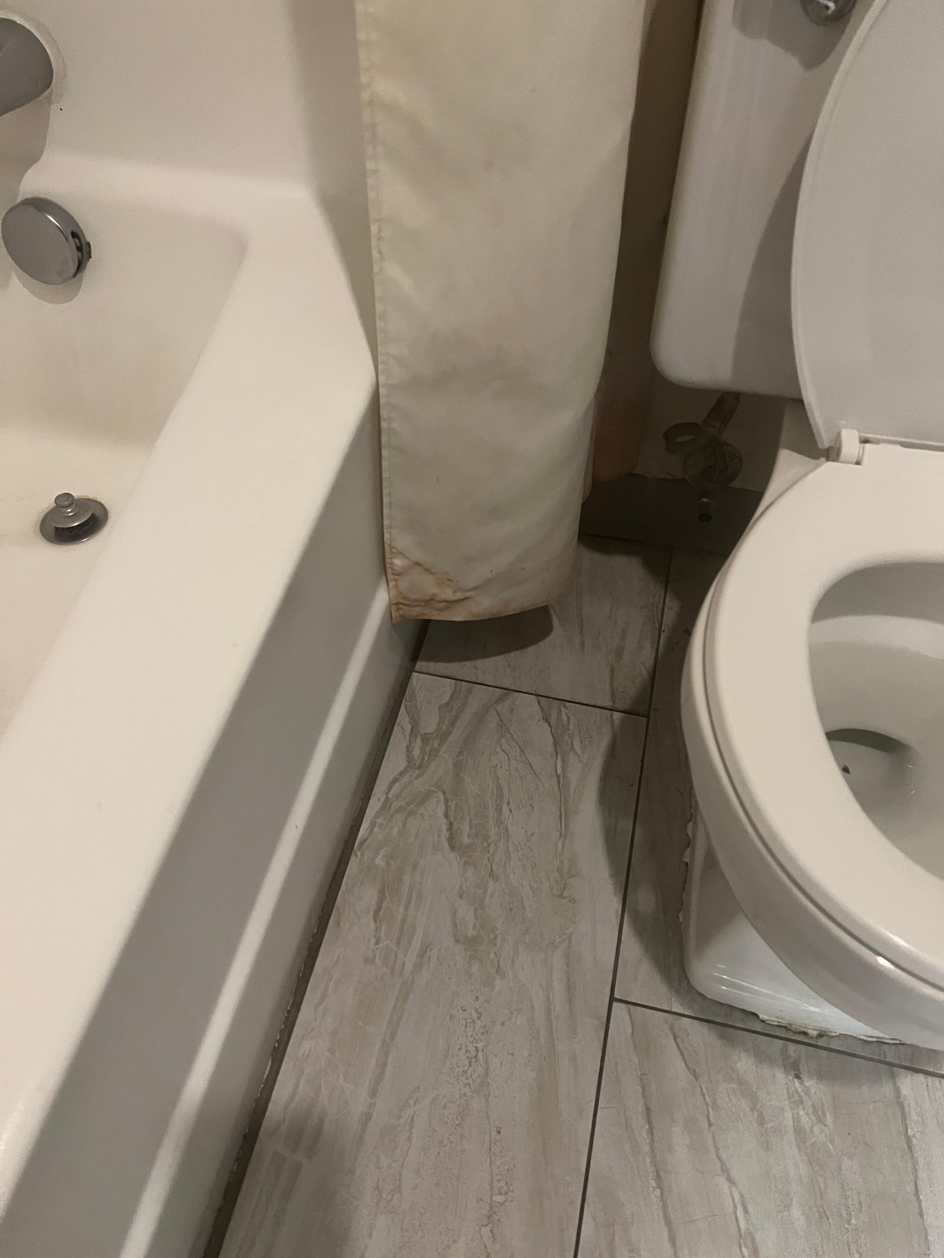 Mold and dirt and urine on shower curtain