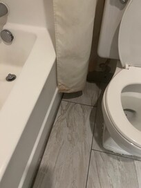 Mold and dirt and urine on shower curtain