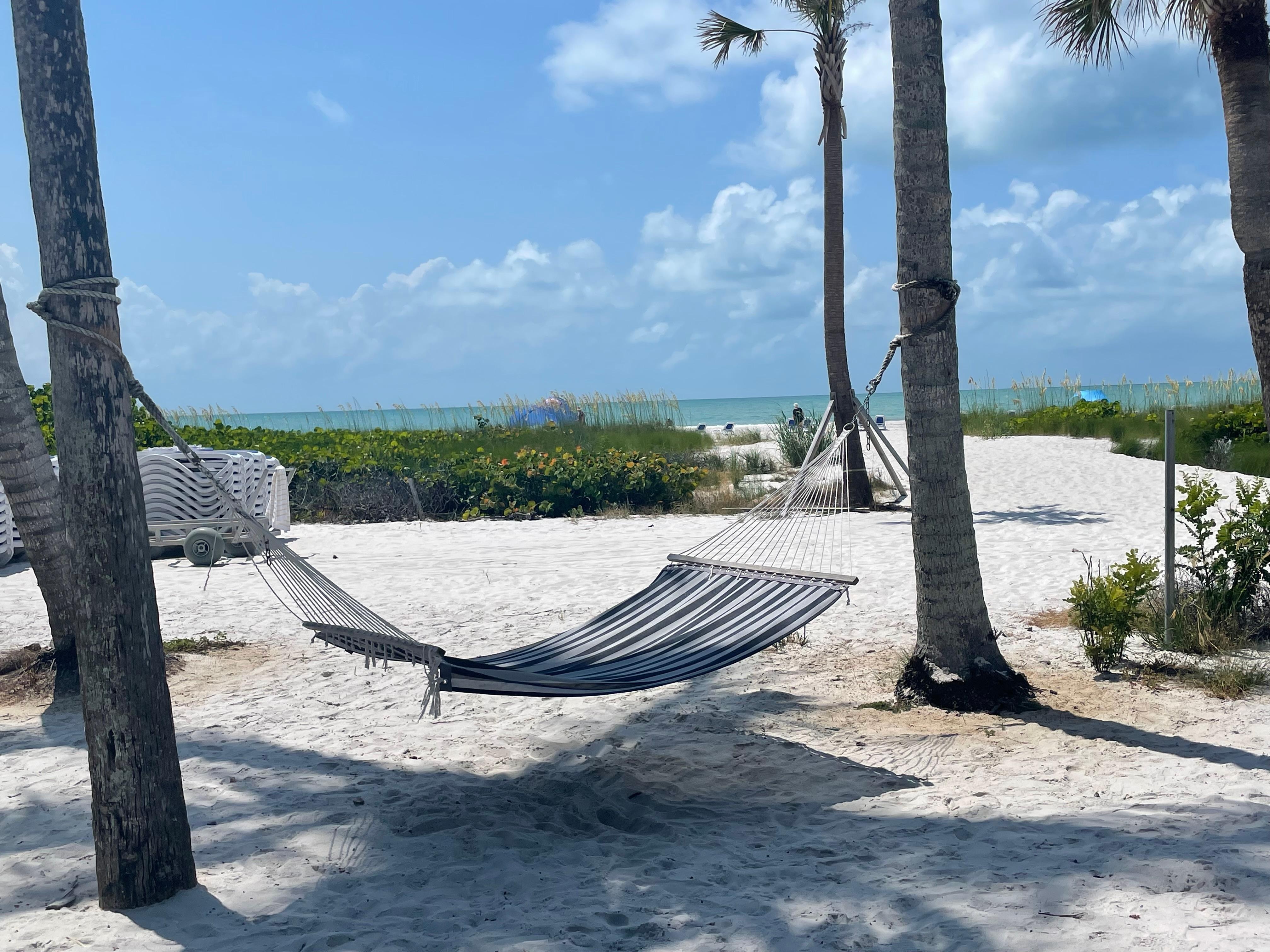 A hammock to relax in