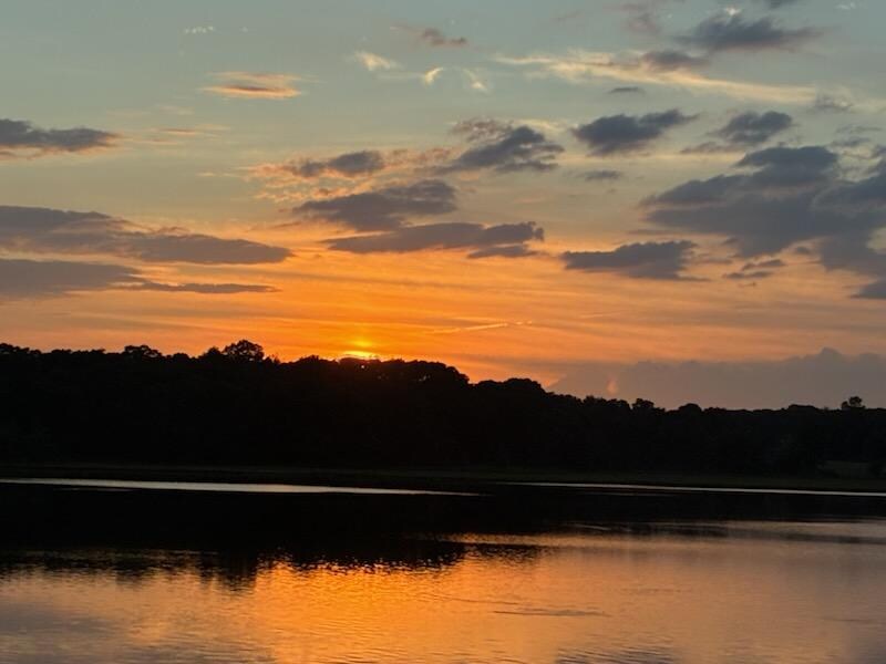 every night from the deck