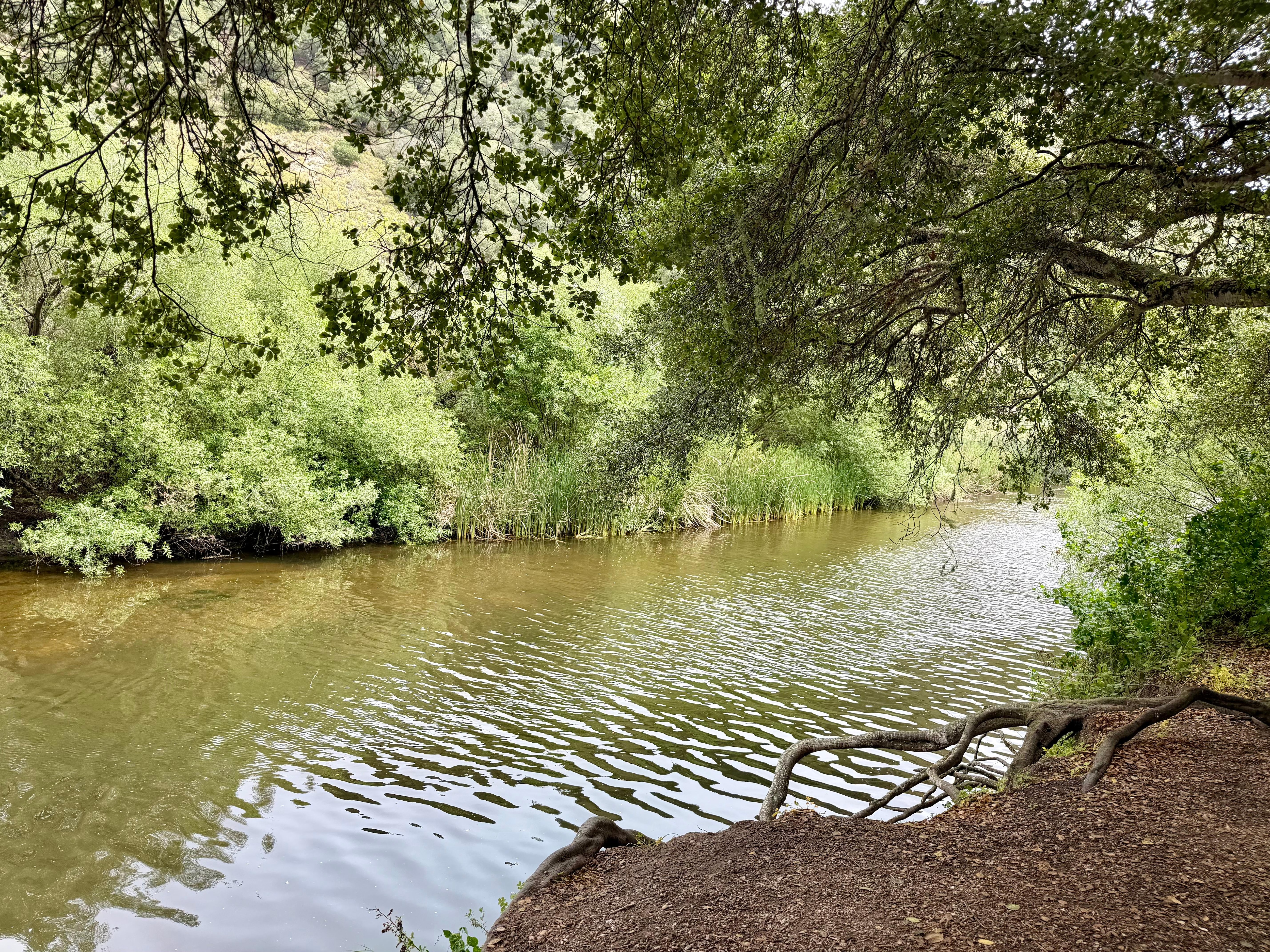 Along the bike/walking path…